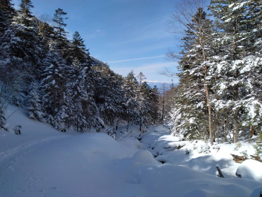 3.沢沿いの登山道