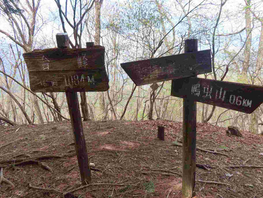 11 合峰