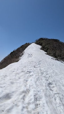 ⑩金北山　山頂直下　あともう少し！