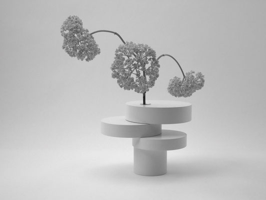 BONSAI EQUILIBRIUM Classic / EN