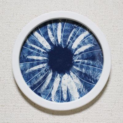 blue eyes -left-　　2017　Ø225　サイアノタイプ