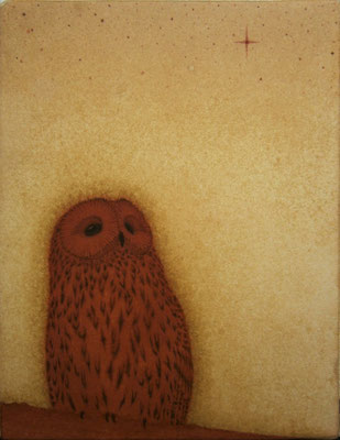 hope　　2013  F0　土佐麻紙、植物染料、土絵具、墨　●