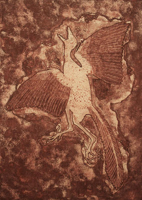 Archaeopteryx　　2015　450×320　エッチング、エングレーヴィング　●
