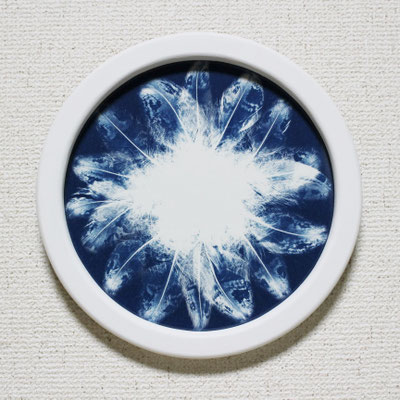 blue eyes -right-　　2017　Ø225　サイアノタイプ