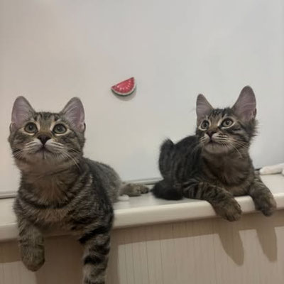 Oskar und Emma