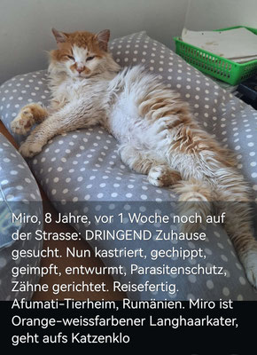 Miro