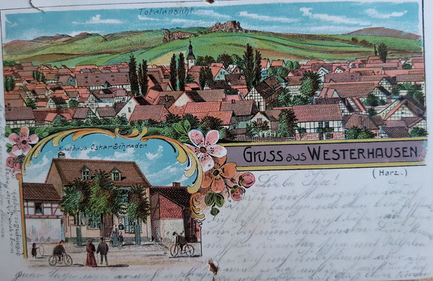 Alte farbige Postkarte. Sie wurden früher nicht hinten sondern vorn beschrieben. Die Berge hatten noch keine Bäume.