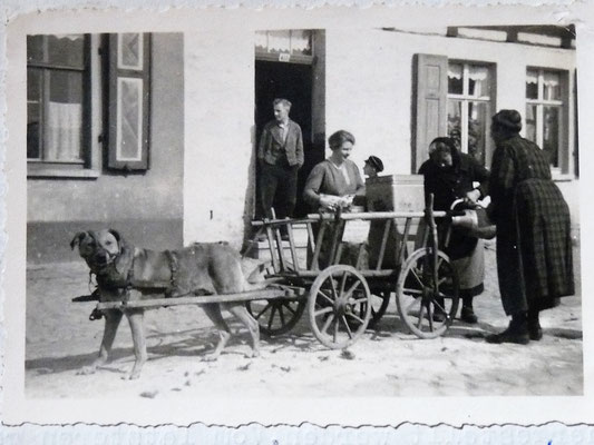 Hier wurde ein kleiner Haushandel mit Hundegespann betrieben