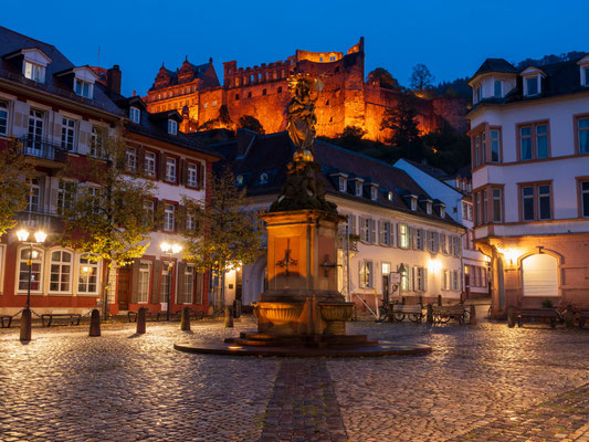 Thomas Fuchs - Heidelberg