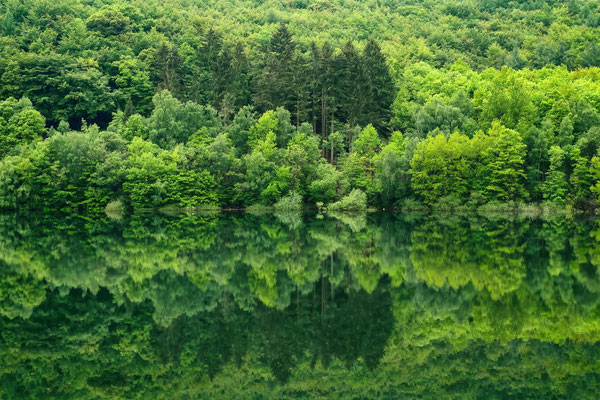 Michael Rosen - Edersee