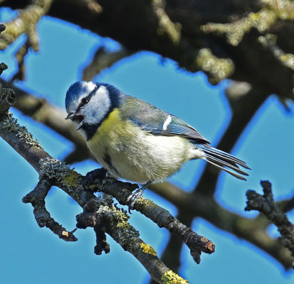 Foto: Heike Rummel