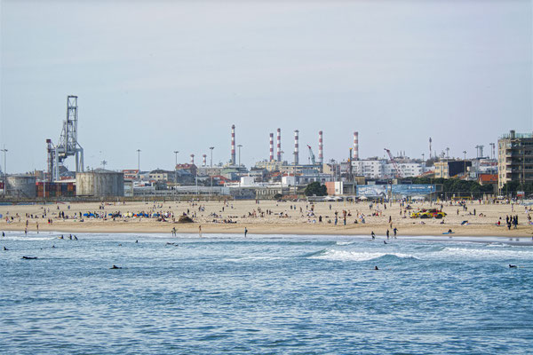Michael Rosen - Matosinhos