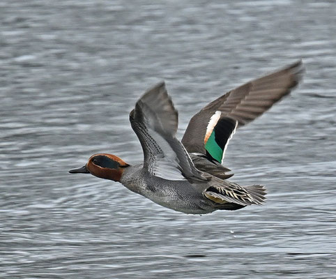 Foto: Heike Rummel