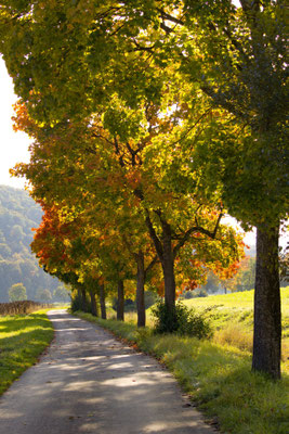 Ulrich Schilling - Herbstfarben
