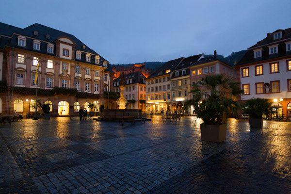 Michael Rosen - Heidelberg