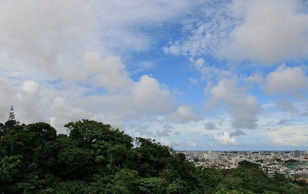 08-0003 末吉 鎮守の杜  北森御嶽(にしむいうたき)