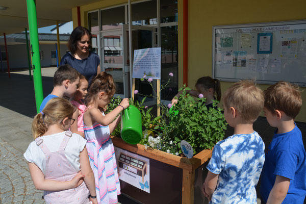 Die Kinder sind das Schuljahr über für die Pflege der Beete verantwortlich. Das schließt auch das Gießen der Pflanzen mit ein, vor allem an heißen Tagen. Foto: Ludwig Berger