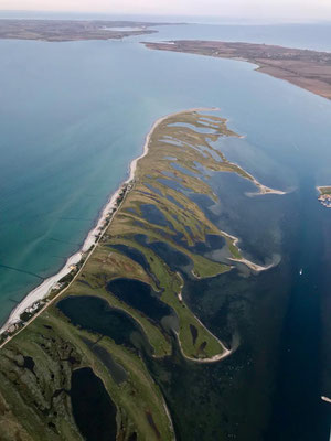 noch ein schöner Abendflug über der Ostsee: Graswarder