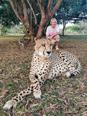 Im Endomeni cheetah ressort