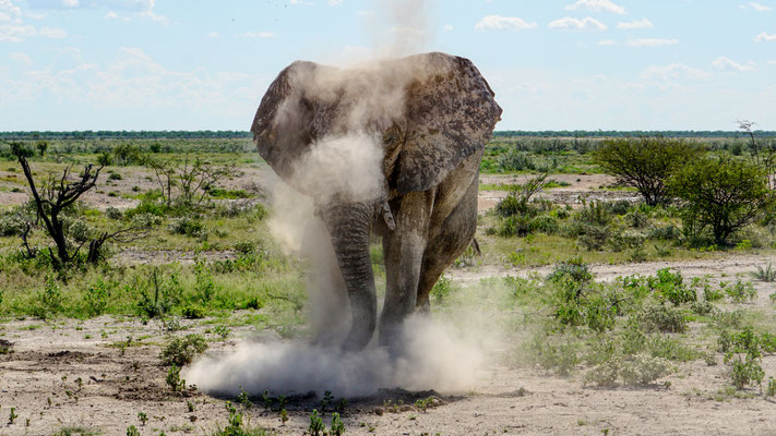 Endlich im Etosha Park