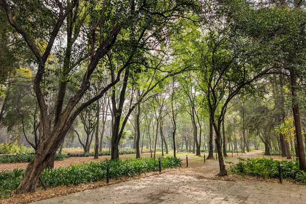 Durch den großen Stadtpark Chapultepec