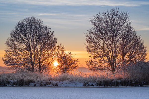 Wintermorgen an der Hamme