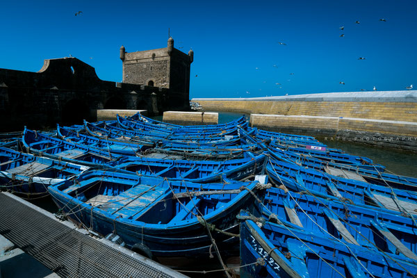 Blaue Boote am Hafen von Essaouira