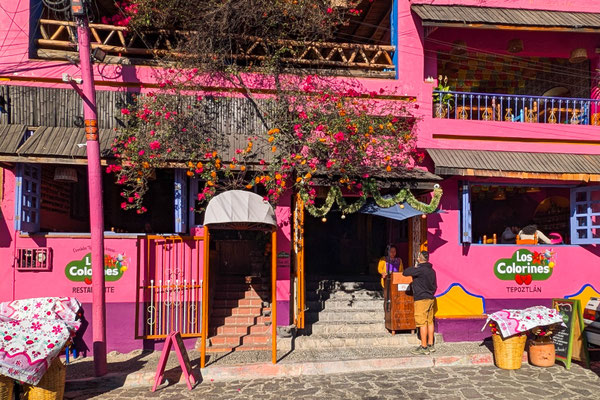 Pink und farbenfroh - Rosa mexicana 
