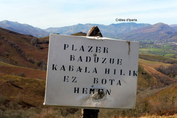 Traduction du basque :"Si vous avez du plaisir, ne jetez pas l'homme mort ici" Que conclure de cette métaphore??