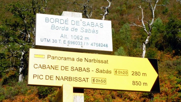 Bifurcation au pied du bois de Sabas et direction le Pic de Narbissat.