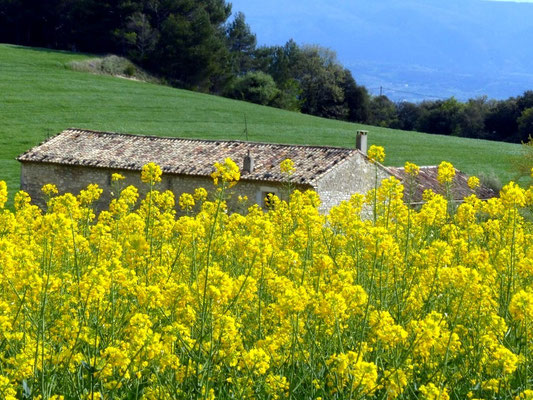 Bleu, vert, jaune