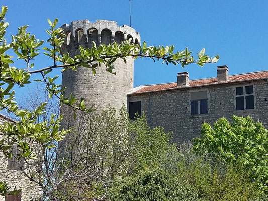 Viens : La Tour du Château