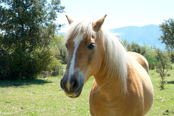 Une belle rencontre