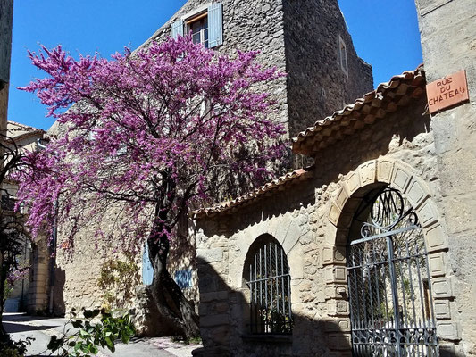 Viens : Rue du château