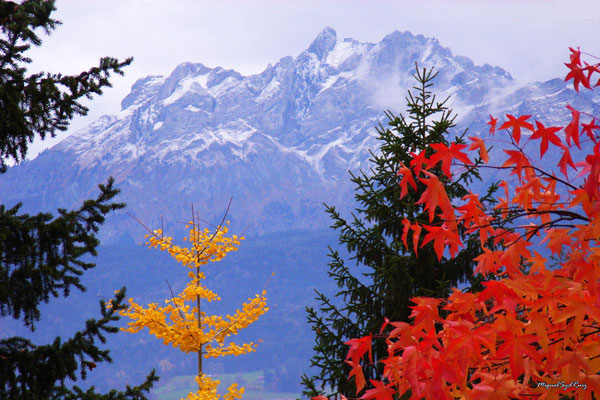 Lucerne (Suisse)