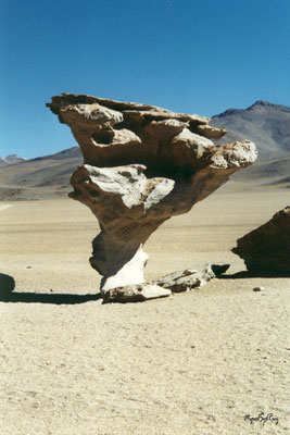 Sur Lipez (Bolivie)