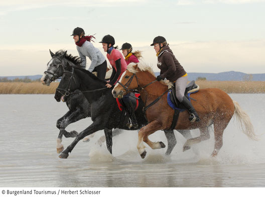 enjoy riding at Lake Neusiedl