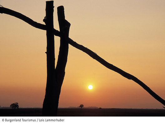 sunset at Lake Neusiedl