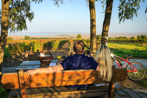 enjoy the beautiful area at Lake Neusiedl