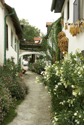 Mörbisch - a picturesque village