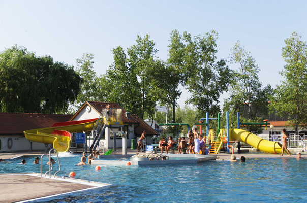 enjoy swimming at lake Neusiedl