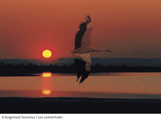sunset at Lake Neusiedl