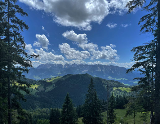 Blick zum Kaisergebirge beim Abstieg