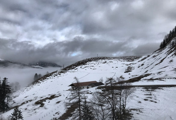 Blick zurück auf Schachen-Alm und Schachenberg