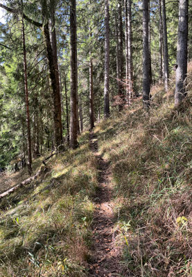 Auf dem Weg zum Kemeikopf