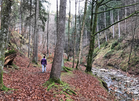 Weg zum Wasserfall in Berg