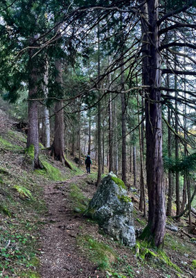 Weg bei der Umrundung des Reitstein