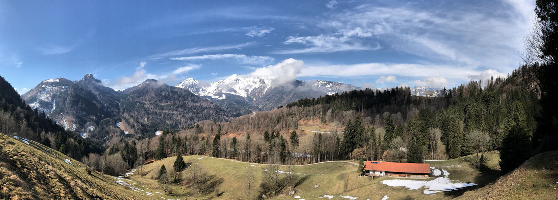Panorama