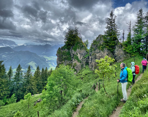 Am Abstiegsweg vom Hochgern
