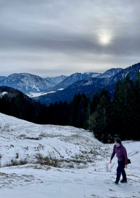 Auf dem Weg zum Scheichenberg